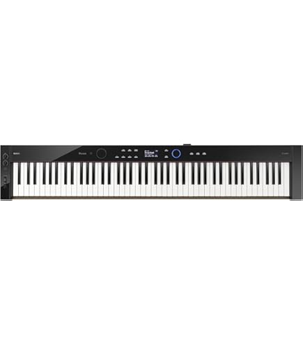 Amazon.com: Casio Privia PX-S5000 Portable Digital Piano with 88